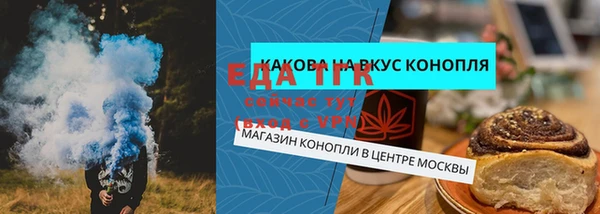гидра Новодвинск