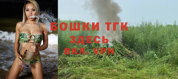 индика Нефтекумск