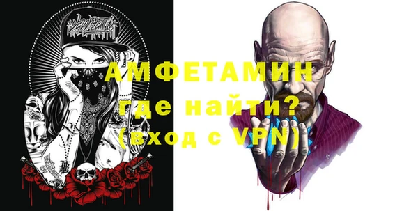 шишки Аша