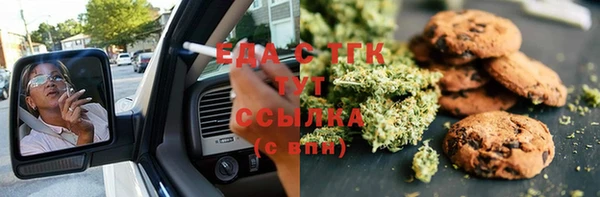 индика Нефтекумск