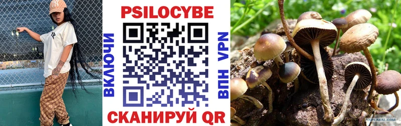 kraken зеркало  наркота  Касли  Псилоцибиновые грибы Psilocybine cubensis 